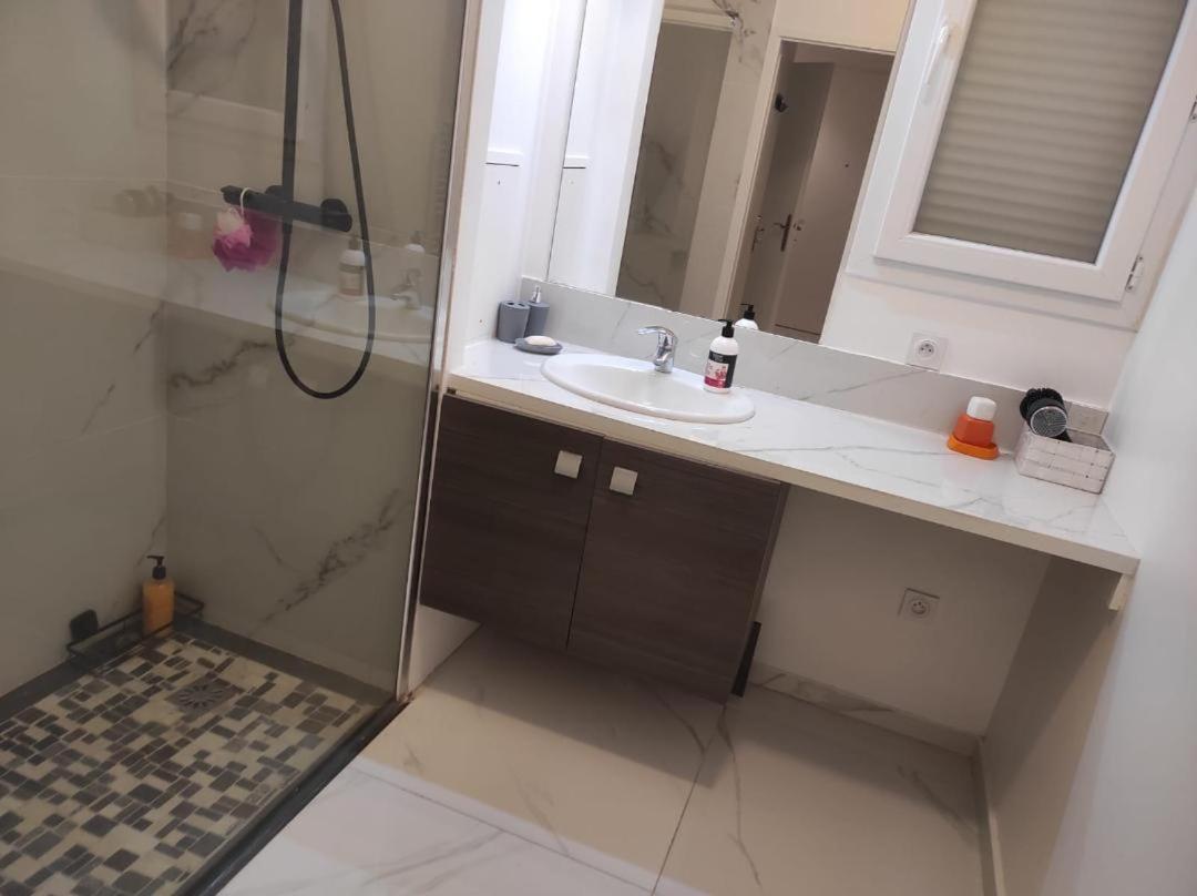 Tres Bel Appartement Avec Grand Jardin, Proche De Paris 圣吉欧梅斯 外观 照片